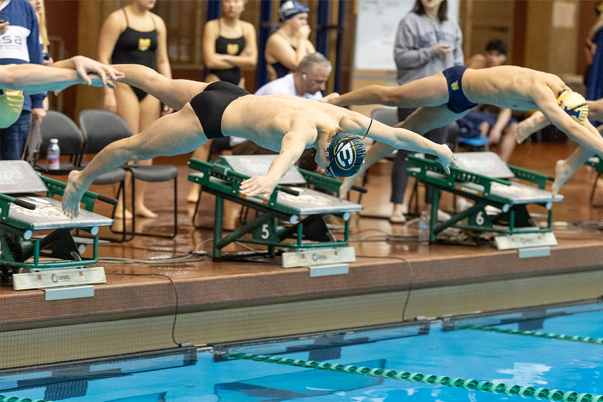 st. edward swimmers dive into the pool at the start of a race